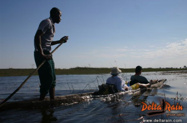 Delta Rain Sitatunga